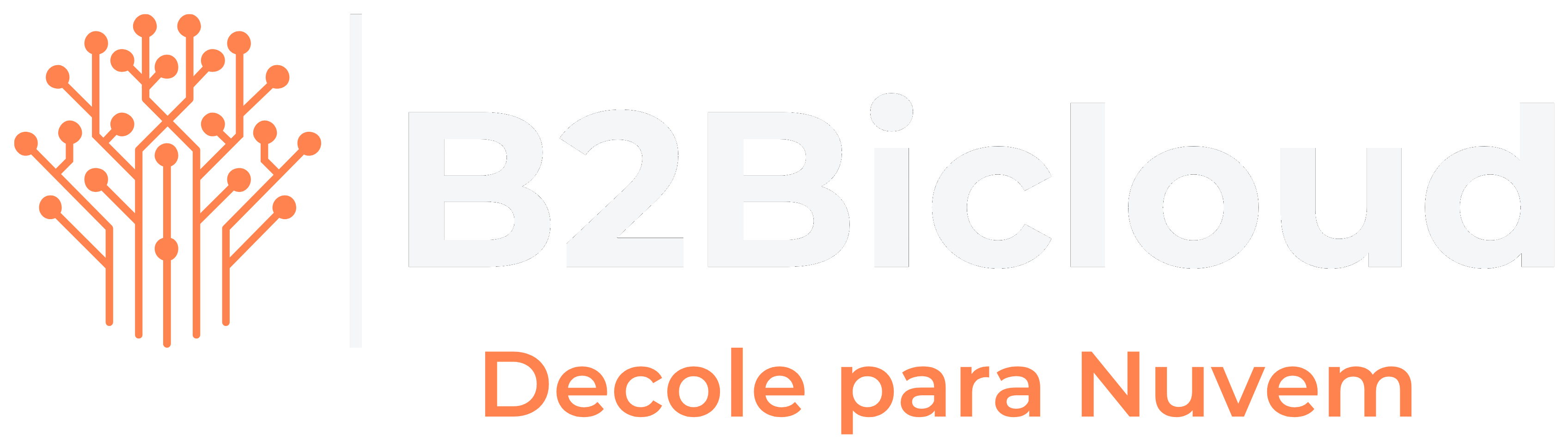 B2Bicloud